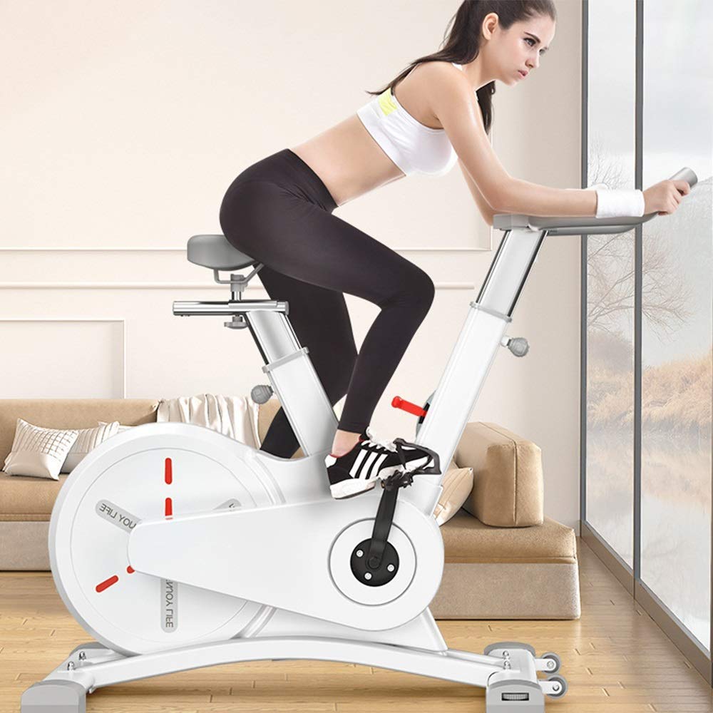 Magnetic Indoor Exercise Bike for Quiet Cardio & Home Fitness Training